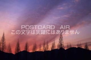 <img class='new_mark_img1' src='https://img.shop-pro.jp/img/new/icons1.gif' style='border:none;display:inline;margin:0px;padding:0px;width:auto;' />Ÿ 뼯ԡ᥿ڤͼΥݥȥսϤPhotoby.com