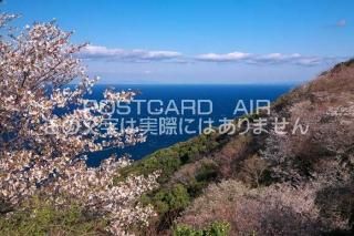 <img class='new_mark_img1' src='https://img.shop-pro.jp/img/new/icons1.gif' style='border:none;display:inline;margin:0px;padding:0px;width:auto;' />²λ ⷴĮ ̨̨κΥݥȥսϤPhotoby.com
