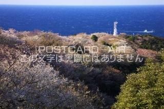 <img class='new_mark_img1' src='https://img.shop-pro.jp/img/new/icons1.gif' style='border:none;display:inline;margin:0px;padding:0px;width:auto;' />²λ ⷴĮ ̨̨κΥݥȥսϤPhotoby.com
