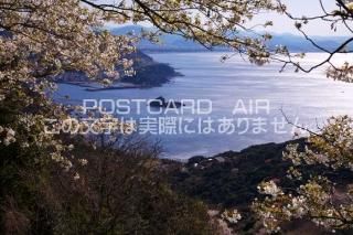 <img class='new_mark_img1' src='https://img.shop-pro.jp/img/new/icons1.gif' style='border:none;display:inline;margin:0px;padding:0px;width:auto;' />²λ ⷴĮ ̨̨κΥݥȥսϤPhotoby.com