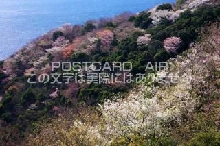 <img class='new_mark_img1' src='https://img.shop-pro.jp/img/new/icons1.gif' style='border:none;display:inline;margin:0px;padding:0px;width:auto;' />²λ ⷴĮ ̨̨κΥݥȥսϤPhotoby.com