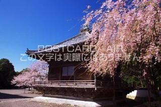 <img class='new_mark_img1' src='https://img.shop-pro.jp/img/new/icons1.gif' style='border:none;display:inline;margin:0px;padding:0px;width:auto;' />²λ ĮƻΤΥݥȥսϤPhotoby.com