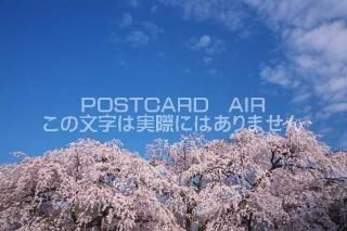 <img class='new_mark_img1' src='https://img.shop-pro.jp/img/new/icons1.gif' style='border:none;display:inline;margin:0px;padding:0px;width:auto;' /> ԻԡĶΥݥȥսϤPhotoby.com