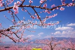 <img class='new_mark_img1' src='https://img.shop-pro.jp/img/new/icons1.gif' style='border:none;display:inline;margin:0px;padding:0px;width:auto;' /> ūԡȪΥݥȥսϤPhotoby.com