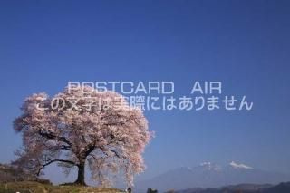 <img class='new_mark_img1' src='https://img.shop-pro.jp/img/new/icons1.gif' style='border:none;display:inline;margin:0px;padding:0px;width:auto;' /> ǣԡͤΰܺΥݥȥսϤPhotoby.com