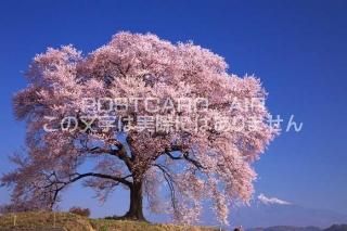 <img class='new_mark_img1' src='https://img.shop-pro.jp/img/new/icons1.gif' style='border:none;display:inline;margin:0px;padding:0px;width:auto;' /> ǣԡͤΰܺΥݥȥսϤPhotoby.com