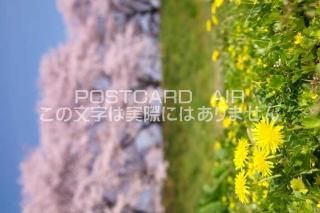 <img class='new_mark_img1' src='https://img.shop-pro.jp/img/new/icons1.gif' style='border:none;display:inline;margin:0px;padding:0px;width:auto;' /> ȬȨԥݥݤȺΥݥȥսϤPhotoby.com