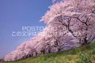 <img class='new_mark_img1' src='https://img.shop-pro.jp/img/new/icons1.gif' style='border:none;display:inline;margin:0px;padding:0px;width:auto;' /> ȬȨԺڤΥݥȥսϤPhotoby.com