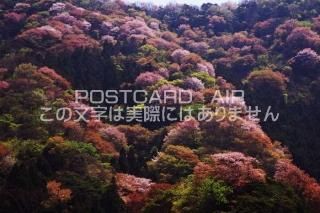 <img class='new_mark_img1' src='https://img.shop-pro.jp/img/new/icons1.gif' style='border:none;display:inline;margin:0px;padding:0px;width:auto;' />ʡ温 淴㶹ĮҤλΥݥȥսϤPhotoby.com