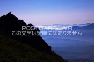 <img class='new_mark_img1' src='https://img.shop-pro.jp/img/new/icons1.gif' style='border:none;display:inline;margin:0px;padding:0px;width:auto;' />Ĺ ĮĻȥץΥݥȥսϤPhotoby.com