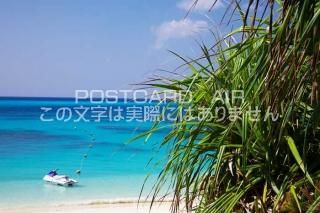<img class='new_mark_img1' src='https://img.shop-pro.jp/img/new/icons1.gif' style='border:none;display:inline;margin:0px;padding:0px;width:auto;' />츩 ϲ ϢӡϲΥݥȥսϤPhotoby.com