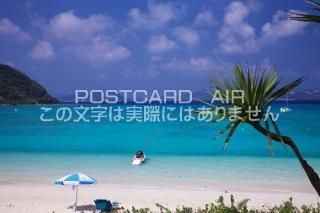 <img class='new_mark_img1' src='https://img.shop-pro.jp/img/new/icons1.gif' style='border:none;display:inline;margin:0px;padding:0px;width:auto;' />츩 ϲ ȤӡȤӡΥݥȥսϤPhotoby.com