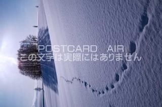 <img class='new_mark_img1' src='https://img.shop-pro.jp/img/new/icons1.gif' style='border:none;display:inline;margin:0px;padding:0px;width:auto;' />̳ƻ ĮڤΥݥȥսϤPhotoby.com