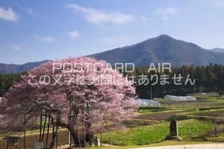 <img class='new_mark_img1' src='https://img.shop-pro.jp/img/new/icons1.gif' style='border:none;display:inline;margin:0px;padding:0px;width:auto;' />Ĺ 淴⻳¼ΥɥҥΥݥȥսϤPhotoby.com