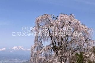 <img class='new_mark_img1' src='https://img.shop-pro.jp/img/new/icons1.gif' style='border:none;display:inline;margin:0px;padding:0px;width:auto;' />Ĺ 淴⻳¼ΤΥݥȥսϤPhotoby.com