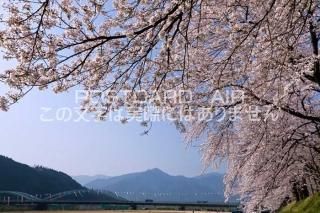 <img class='new_mark_img1' src='https://img.shop-pro.jp/img/new/icons1.gif' style='border:none;display:inline;margin:0px;padding:0px;width:auto;' />ʡ温 ԡŷΥݥȥսϤPhotoby.com