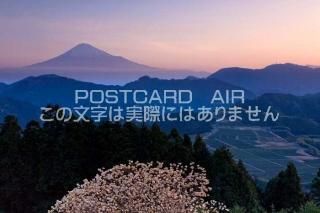 <img class='new_mark_img1' src='https://img.shop-pro.jp/img/new/icons1.gif' style='border:none;display:inline;margin:0px;padding:0px;width:auto;' />Ų ȸٻλΥݥȥսϤPhotoby.com