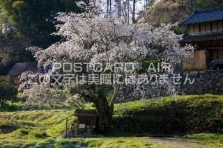 <img class='new_mark_img1' src='https://img.shop-pro.jp/img/new/icons1.gif' style='border:none;display:inline;margin:0px;padding:0px;width:auto;' />ɸ ˻ԡ̸¢ºκΥݥȥսϤPhotoby.com