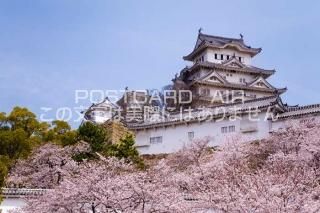 <img class='new_mark_img1' src='https://img.shop-pro.jp/img/new/icons1.gif' style='border:none;display:inline;margin:0px;padding:0px;width:auto;' />ʼ˸ ɱϩԡ ɱϩΥݥȥսϤPhotoby.com