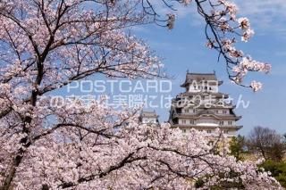 <img class='new_mark_img1' src='https://img.shop-pro.jp/img/new/icons1.gif' style='border:none;display:inline;margin:0px;padding:0px;width:auto;' />ʼ˸ ɱϩԡɱϩȺΥݥȥսϤPhotoby.com