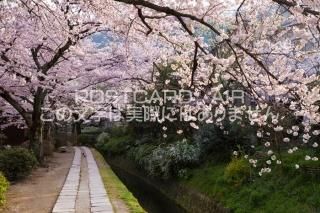 <img class='new_mark_img1' src='https://img.shop-pro.jp/img/new/icons1.gif' style='border:none;display:inline;margin:0px;padding:0px;width:auto;' /> ԻԡůؤƻΥݥȥսϤPhotoby.com