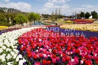 <img class='new_mark_img1' src='https://img.shop-pro.jp/img/new/icons1.gif' style='border:none;display:inline;margin:0px;padding:0px;width:auto;' />ʼ˸ øϩԡгΥݥȥսϤPhotoby.com