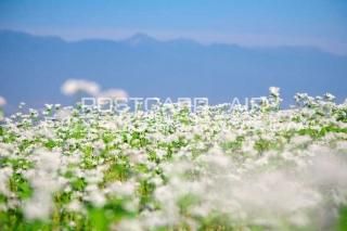 <img class='new_mark_img1' src='https://img.shop-pro.jp/img/new/icons1.gif' style='border:none;display:inline;margin:0px;padding:0px;width:auto;' />Ĺ Զβ֤ΥݥȥսϤPhotoby.com