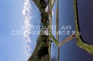 <img class='new_mark_img1' src='https://img.shop-pro.jp/img/new/icons1.gif' style='border:none;display:inline;margin:0px;padding:0px;width:auto;' />Ĺ ̰޷¼ĵêĤΥݥȥսϤPhotoby.com