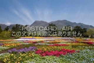 <img class='new_mark_img1' src='https://img.shop-pro.jp/img/new/icons1.gif' style='border:none;display:inline;margin:0px;padding:0px;width:auto;' />ʬ Ļԡ夦ָΥݥȥսϤPhotoby.com