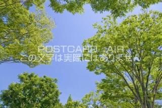<img class='new_mark_img1' src='https://img.shop-pro.jp/img/new/icons1.gif' style='border:none;display:inline;margin:0px;padding:0px;width:auto;' /> ڷĮĶȿΥݥȥսϤPhotoby.com