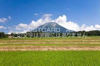 <img class='new_mark_img1' src='https://img.shop-pro.jp/img/new/icons1.gif' style='border:none;display:inline;margin:0px;padding:0px;width:auto;' />Ļ踩 췴ĮĤܤ绳βƷʿΥݥȥսϤPhotoby.com