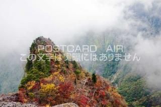 <img class='new_mark_img1' src='https://img.shop-pro.jp/img/new/icons1.gif' style='border:none;display:inline;margin:0px;padding:0px;width:auto;' />ɸ ̻¼?ιդΥݥȥսϤPhotoby.com