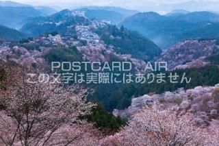 <img class='new_mark_img1' src='https://img.shop-pro.jp/img/new/icons1.gif' style='border:none;display:inline;margin:0px;padding:0px;width:auto;' />ɸ Į仺 