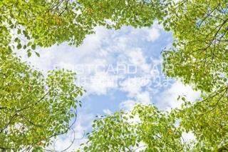 <img class='new_mark_img1' src='https://img.shop-pro.jp/img/new/icons1.gif' style='border:none;display:inline;margin:0px;padding:0px;width:auto;' /> ԻԾ衡ڤդĶΥݥȥսϤPhotoby.com