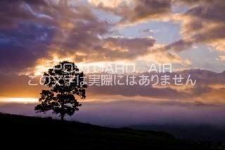 日本の風景（48都道府県） - 岡山県 - ポストカードのAIR