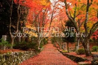 <img class='new_mark_img1' src='https://img.shop-pro.jp/img/new/icons1.gif' style='border:none;display:inline;margin:0px;padding:0px;width:auto;' />츩 Ĺͻԡ­ιդΥݥȥսϤPhotoby.com