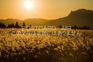<img class='new_mark_img1' src='https://img.shop-pro.jp/img/new/icons1.gif' style='border:none;display:inline;margin:0px;padding:0px;width:auto;' />ɸ ¼⸶ΥΥݥȥսϤPhotoby.com