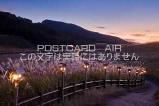 <img class='new_mark_img1' src='https://img.shop-pro.jp/img/new/icons1.gif' style='border:none;display:inline;margin:0px;padding:0px;width:auto;' />ɸ ¼⸶ΥȻΥݥȥսϤPhotoby.com