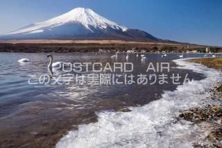 <img class='new_mark_img1' src='https://img.shop-pro.jp/img/new/icons1.gif' style='border:none;display:inline;margin:0px;padding:0px;width:auto;' /> α¼ٻλߤλФΥݥȥսϤPhotoby.com