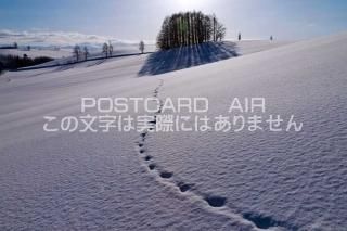 <img class='new_mark_img1' src='https://img.shop-pro.jp/img/new/icons1.gif' style='border:none;display:inline;margin:0px;padding:0px;width:auto;' />̳ƻ ͤʿΥݥȥսϤPhotoby.com
