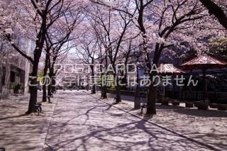 <img class='new_mark_img1' src='https://img.shop-pro.jp/img/new/icons1.gif' style='border:none;display:inline;margin:0px;padding:0px;width:auto;' /> ԻԡԵκڤΥݥȥսϤPhotoby.com