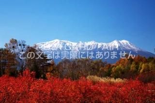 <img class='new_mark_img1' src='https://img.shop-pro.jp/img/new/icons1.gif' style='border:none;display:inline;margin:0px;padding:0px;width:auto;' />ĹĮ֥롼٥꡼ιդȸֻΥݥȥսϤPhotoby.com