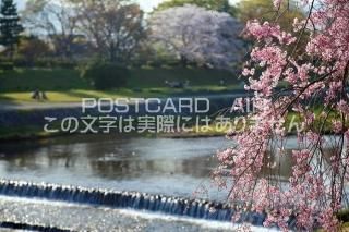 <img class='new_mark_img1' src='https://img.shop-pro.jp/img/new/icons1.gif' style='border:none;display:inline;margin:0px;padding:0px;width:auto;' /> ԻԺ衡ȺΥݥȥսϤPhotoby.com