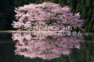<img class='new_mark_img1' src='https://img.shop-pro.jp/img/new/icons1.gif' style='border:none;display:inline;margin:0px;padding:0px;width:auto;' />ɸ ˻ԡκΥݥȥսϤPhotoby.com