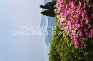 <img class='new_mark_img1' src='https://img.shop-pro.jp/img/new/icons1.gif' style='border:none;display:inline;margin:0px;padding:0px;width:auto;' />Ÿ ԡĥĥ餯īΥݥȥսϤPhotoby.com