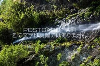 <img class='new_mark_img1' src='https://img.shop-pro.jp/img/new/icons1.gif' style='border:none;display:inline;margin:0px;padding:0px;width:auto;' />²λ ̶Ϭ̻¼ ΥݥȥսϤPhotoby.com