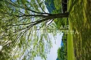 <img class='new_mark_img1' src='https://img.shop-pro.jp/img/new/icons1.gif' style='border:none;display:inline;margin:0px;padding:0px;width:auto;' />²λ ̶Ϭ̻¼ 䥭οФΥݥȥսϤPhotoby.com