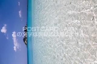 <img class='new_mark_img1' src='https://img.shop-pro.jp/img/new/icons1.gif' style='border:none;display:inline;margin:0px;padding:0px;width:auto;' />ڥݥȥAIRʡ۲츩 翬ϲ¼ ϲγΥݥȥսϤPhotoby.com