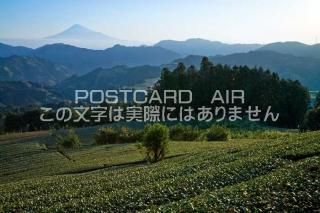 <img class='new_mark_img1' src='https://img.shop-pro.jp/img/new/icons1.gif' style='border:none;display:inline;margin:0px;padding:0px;width:auto;' />ڥݥȥAIRʡŲ Ų ȪٻλΥݥȥսϤPhotoby.com