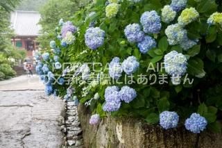 <img class='new_mark_img1' src='https://img.shop-pro.jp/img/new/icons1.gif' style='border:none;display:inline;margin:0px;padding:0px;width:auto;' />ɸ ·ԡĻΤΥݥȥսϤϥPhotoby.com